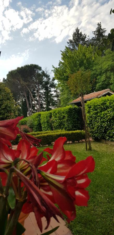 La Casa Di Gigliola Villa Monticiano Exterior foto