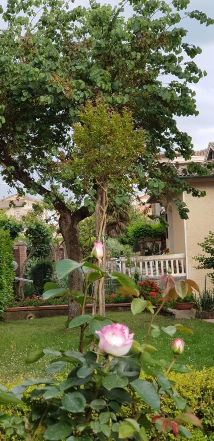La Casa Di Gigliola Villa Monticiano Exterior foto